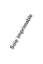 soie imprimable